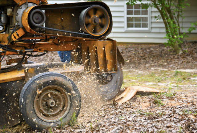 stump removal in Van Buren