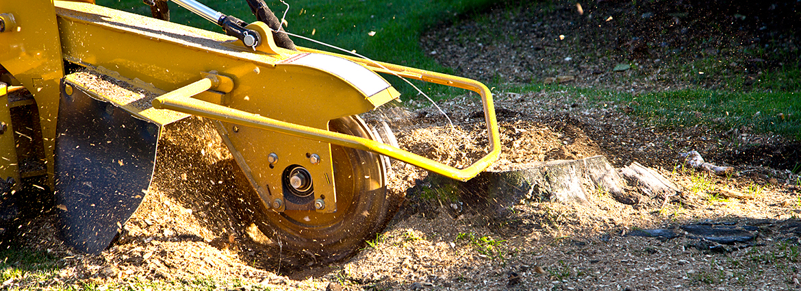 ME Stump Removal